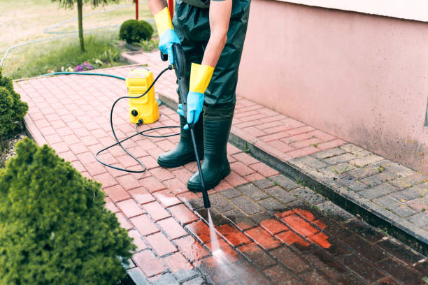 Animal Enclosure Cleaning in Menlo Park Terrace, NJ